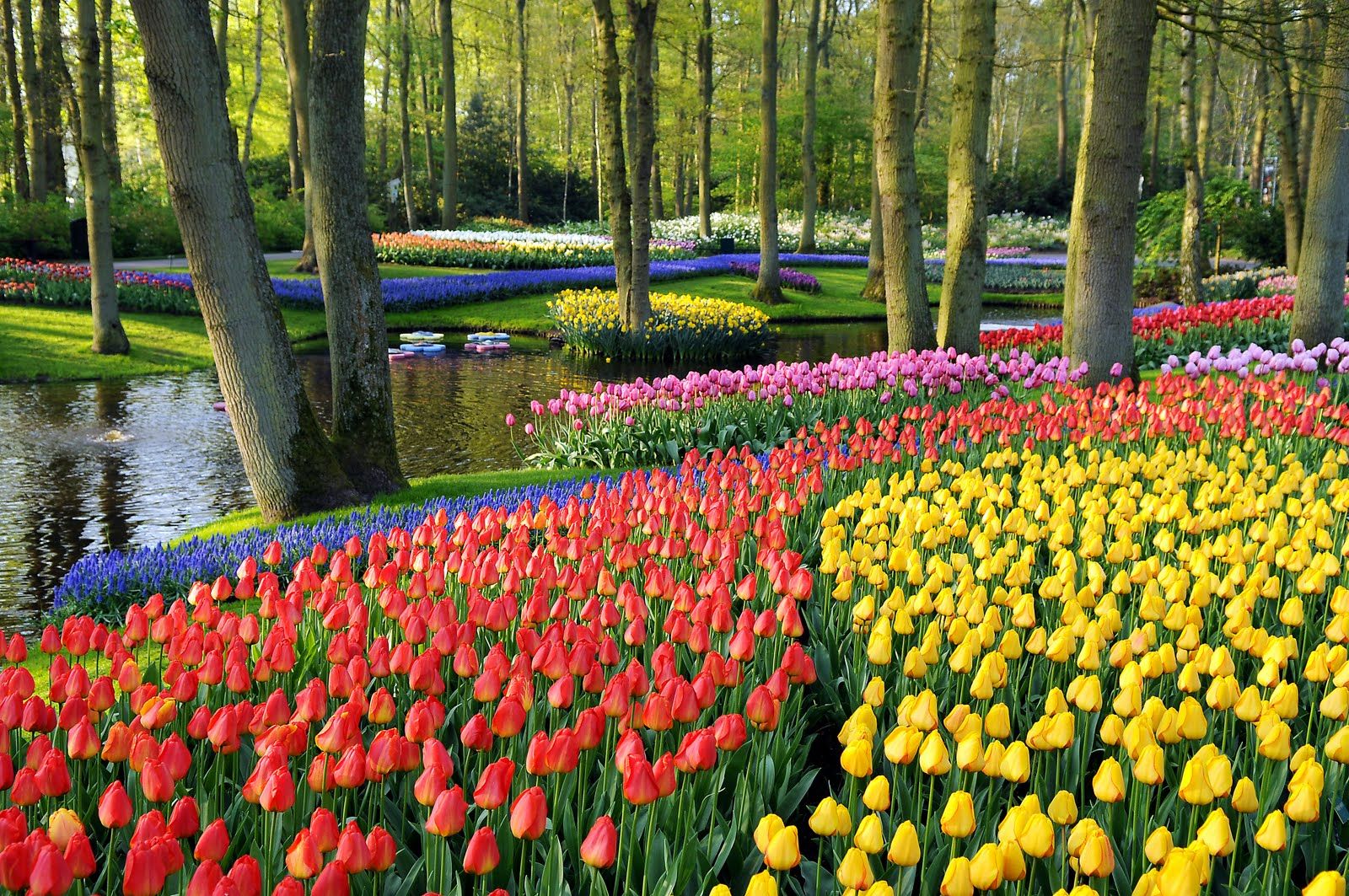 Keukenhof Gardens Park